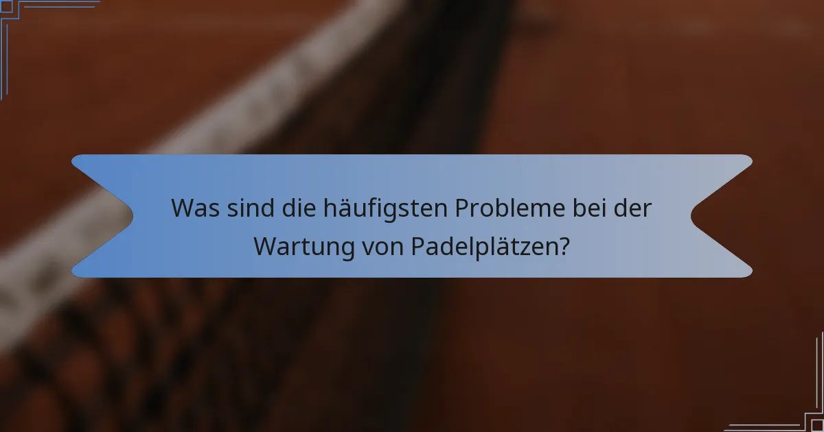 Was sind die häufigsten Probleme bei der Wartung von Padelplätzen?